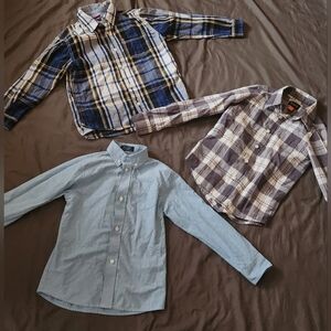 Button Down Shirts